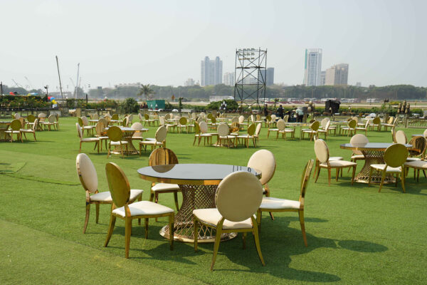 Louis Beige Chairs (300 Pcs) - Image 2