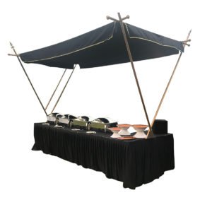 Criss Cross Canopies (24 Qty)