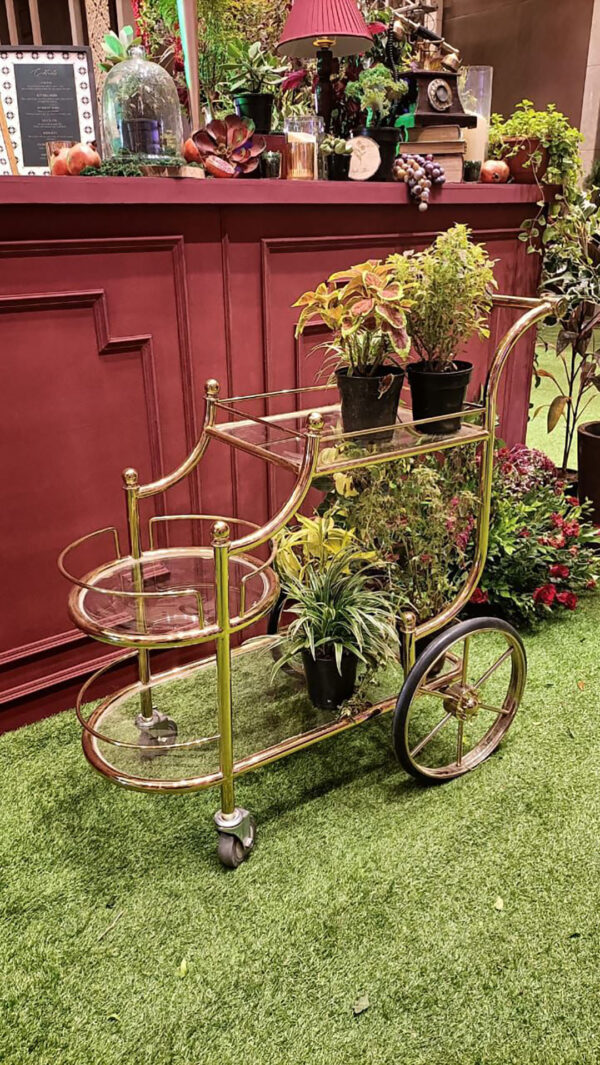 Bar Trolley 1 ( 04 Qty) - Image 2
