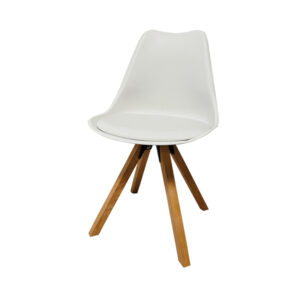 Expo White Chair (200 Qty)