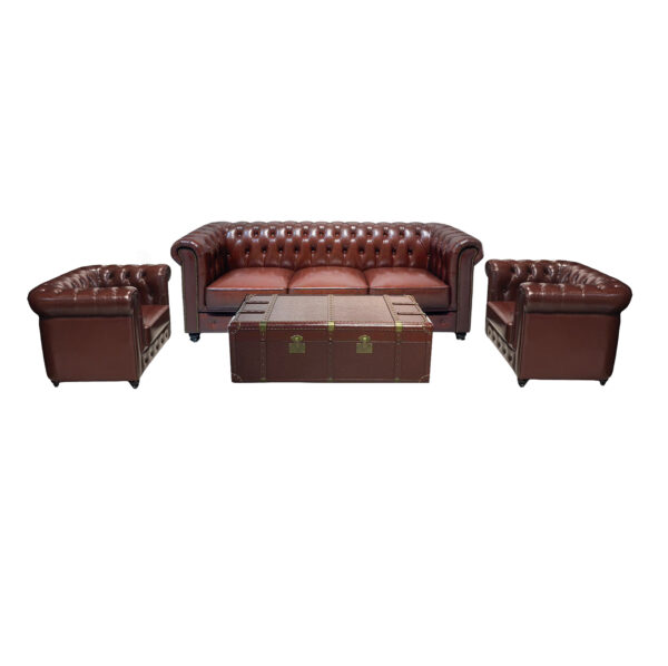 Leather Sofa Set ( 6 )